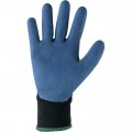 Zimné rukavice ROXY BLUE WINTER povrstvené latexom